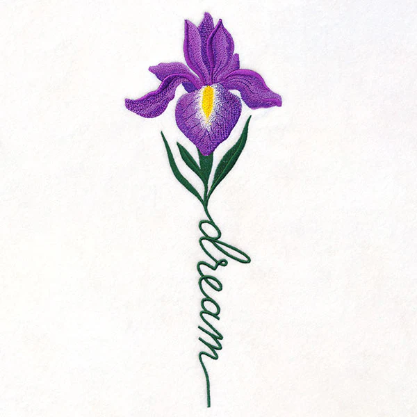 Dream Bloom Iris