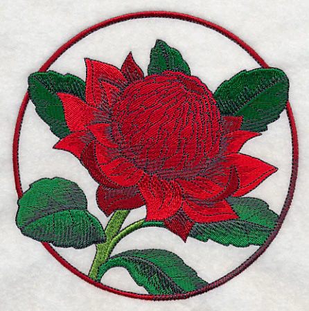 Elegant Flower Circle - Waratah - Image 3