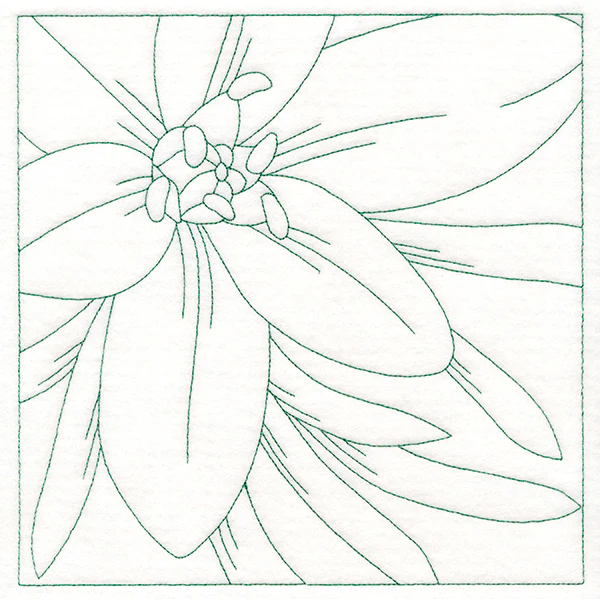 Festive Florals Quilting - Star of Bethlehem (Double Run)