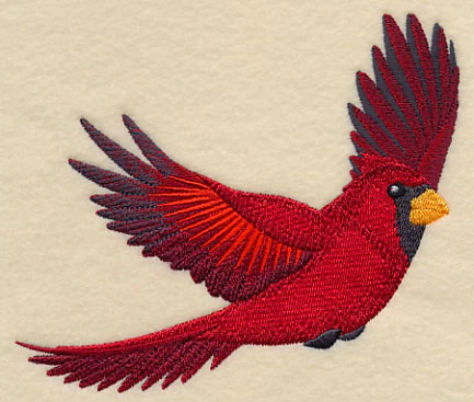 Flying Cardinal - Image 3