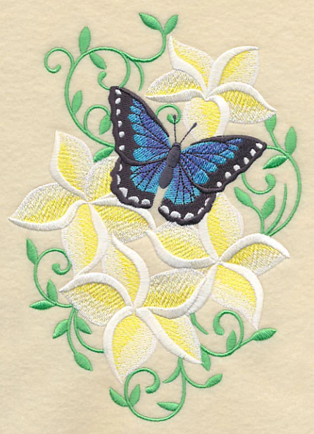 Frangipani and Butterfly - Image 2