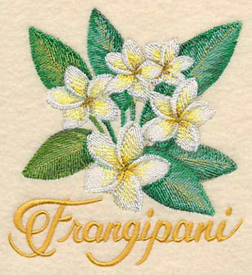Frangipani in Watercolor - Image 3