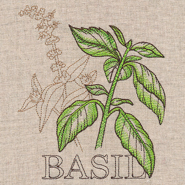 Fresh Basil Medley - Image 3