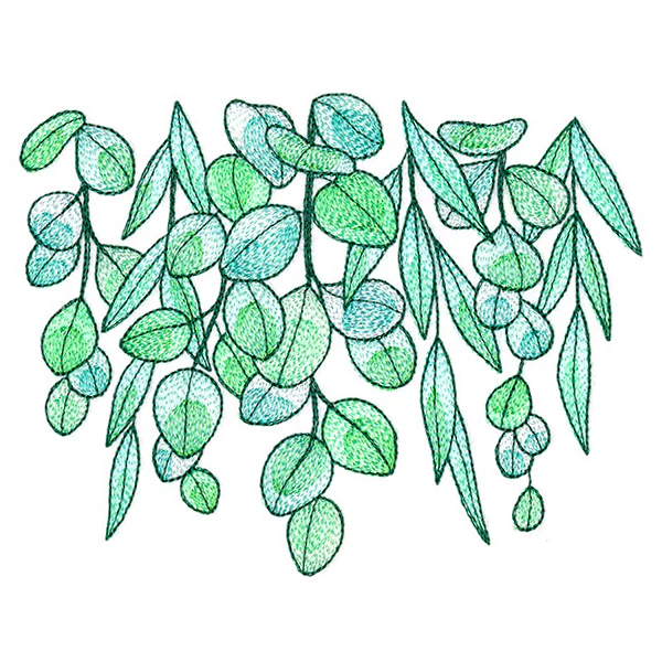 Fresh Draping Eucalyptus - Image 5
