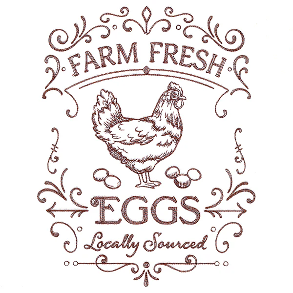 Fresh Market - Locally Sourced Eggs - Image 4