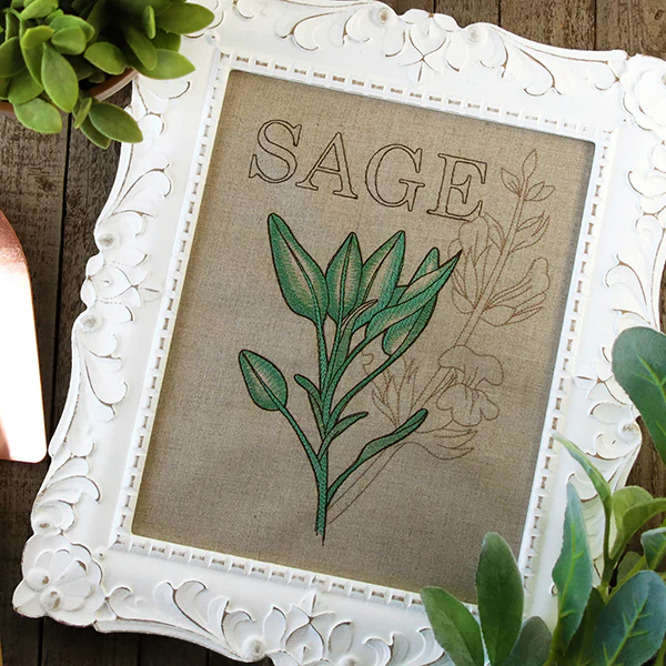Fresh Sage Medley - Image 4