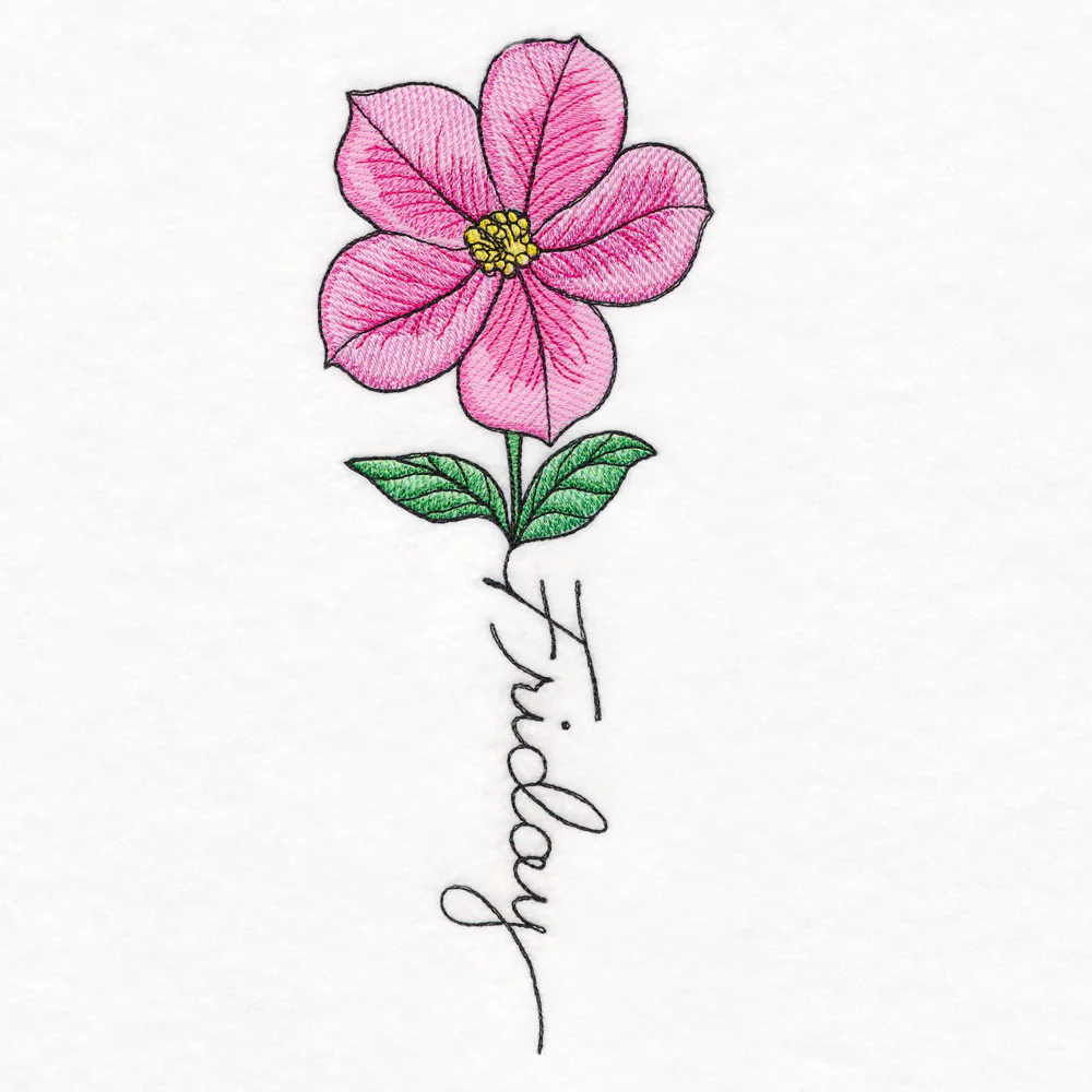 Friday Bloom Cosmos - Image 3