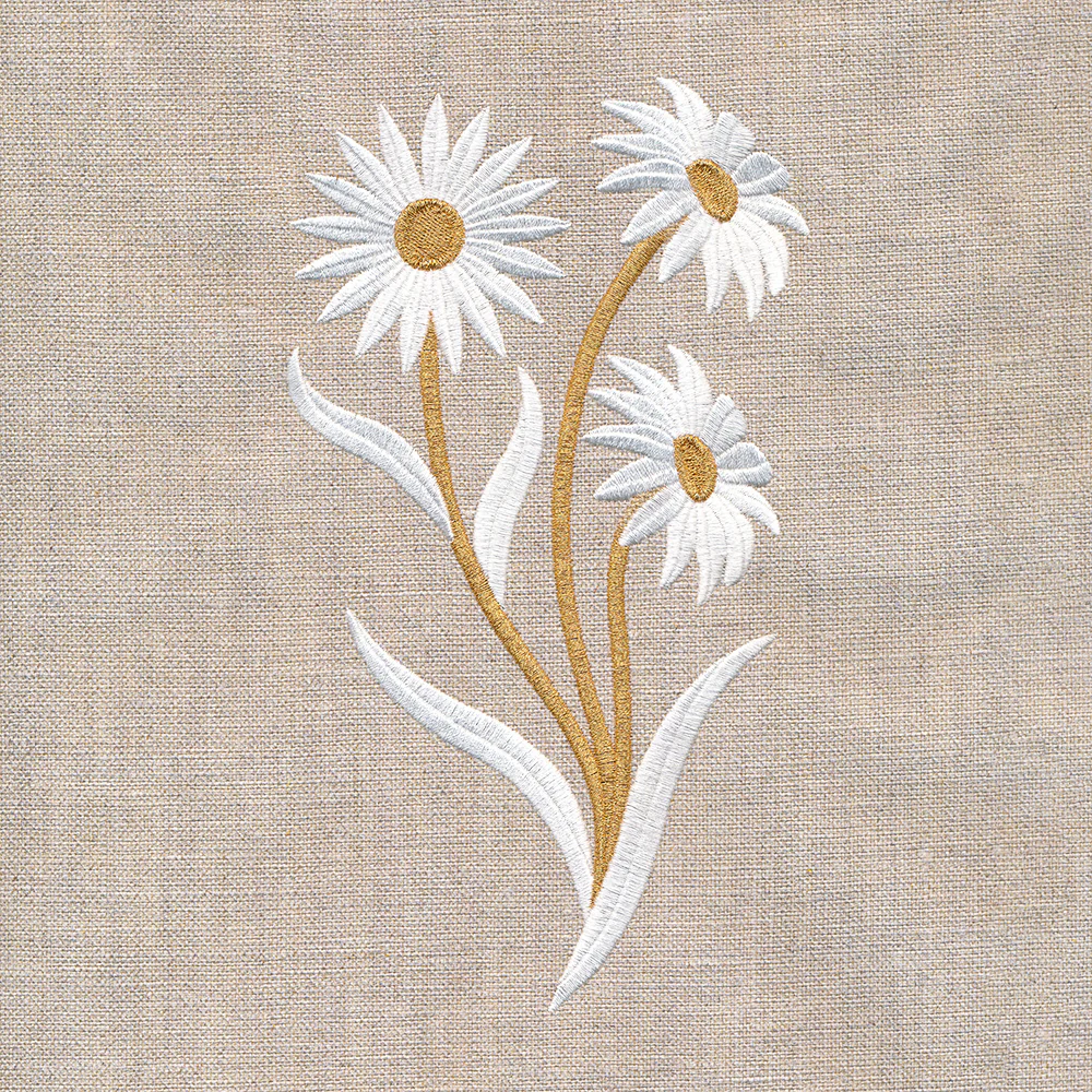 Golden Harvest Daisy - Image 6
