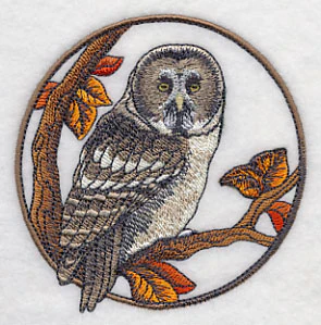 Great Grey Owl in Autumn - Image 5