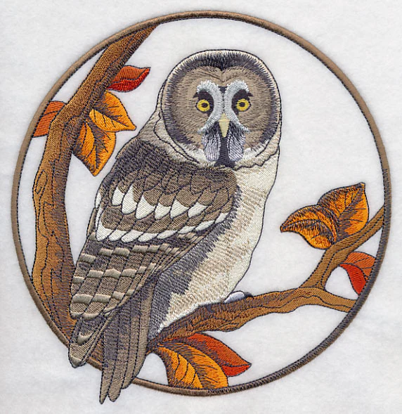 Great Grey Owl in Autumn - Image 6