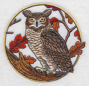 Great Horned Owl in Autumn - Image 5