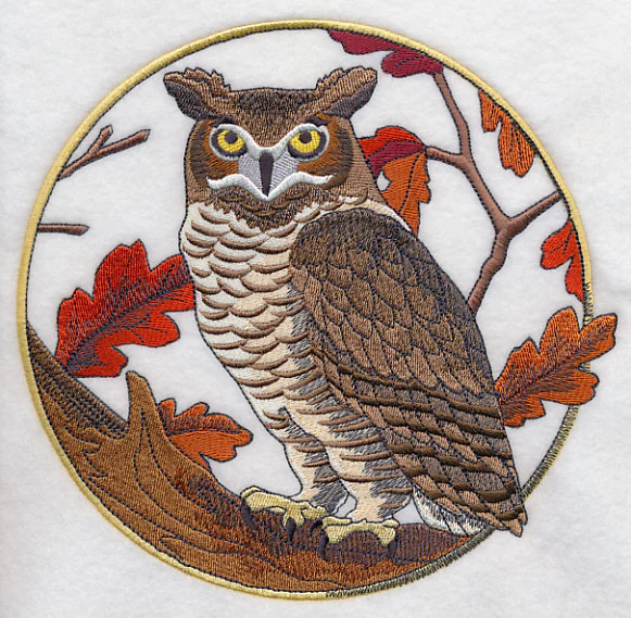 Great Horned Owl in Autumn - Image 6