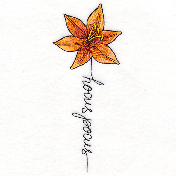 Hocus Pocus Bloom Lily - Image 4