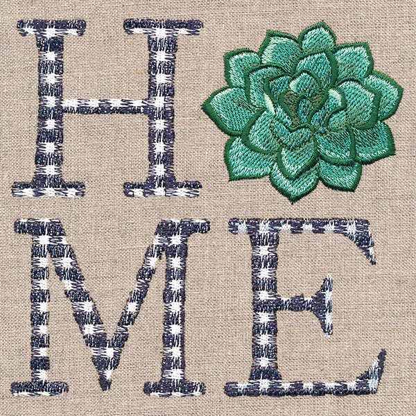 Home with Succulent - Image 4