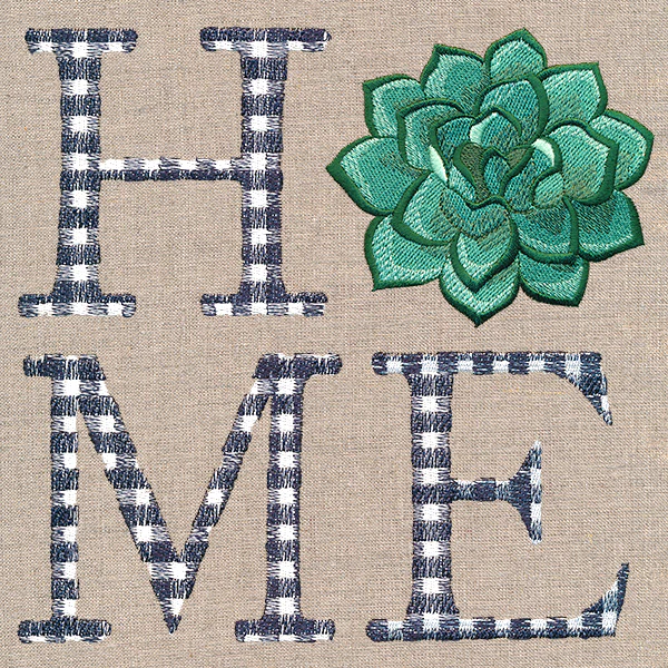 Home with Succulent - Image 5