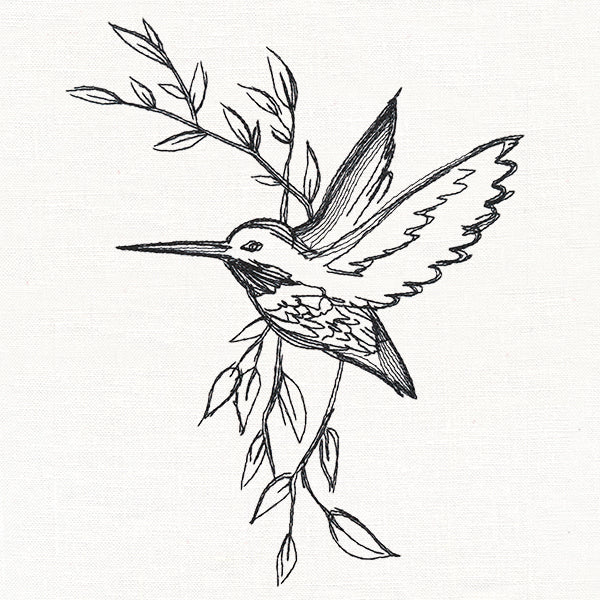 Hummingbird in Sketches - Image 2