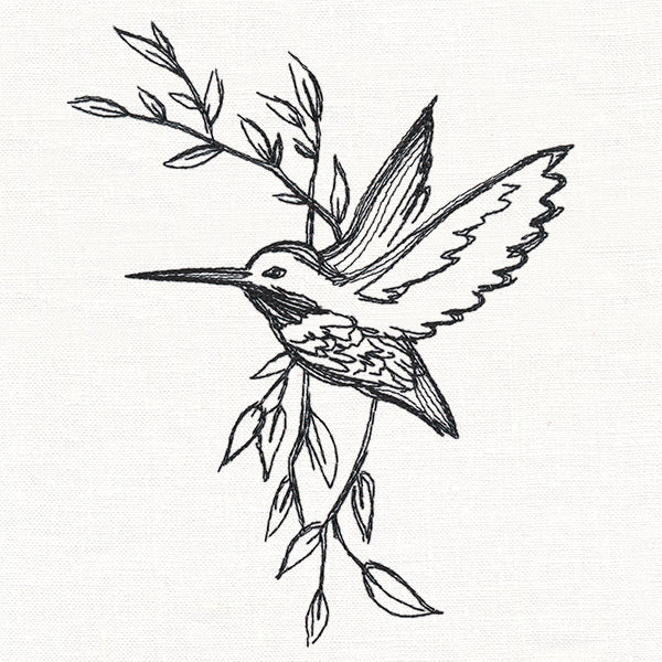 Hummingbird in Sketches - Image 3