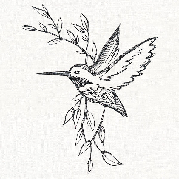 Hummingbird in Sketches - Image 5