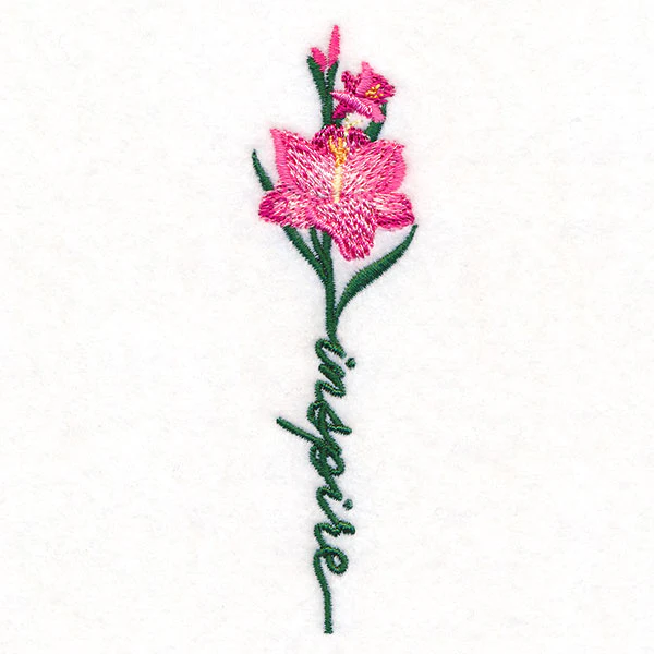 Inspire Bloom Gladiolus - Image 5