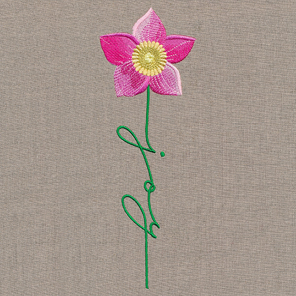 Joy Bloom Christmas Rose - Image 2