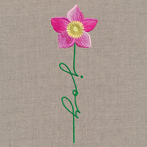 Joy Bloom Christmas Rose - Image 3
