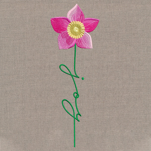 Joy Bloom Christmas Rose - Image 6