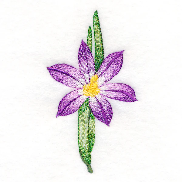 Long-Stemmed Iris - Image 2