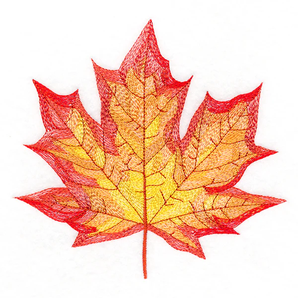Magnificent Maple Leaf - Image 3
