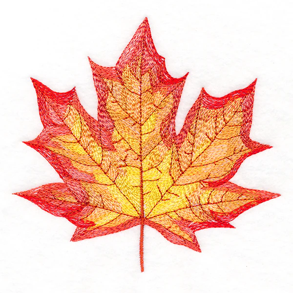 Magnificent Maple Leaf - Image 4