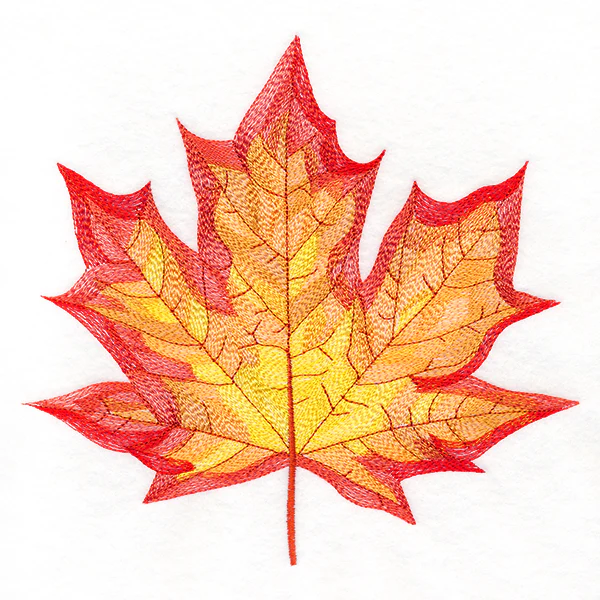 Magnificent Maple Leaf - Image 6
