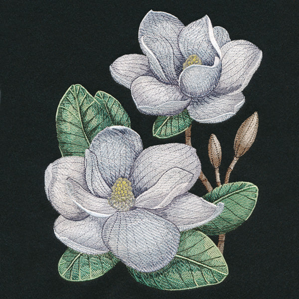 Magnolia Blooms - Image 8
