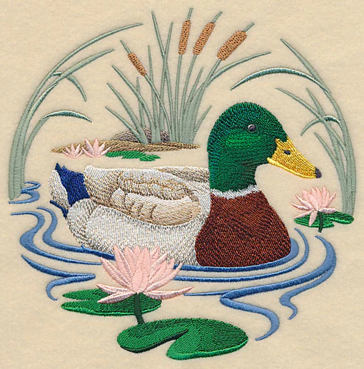 Mallard Duck Scene - Image 3