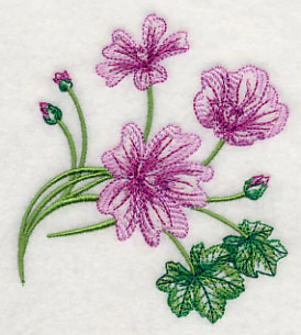 Marvelous Malva 1 - Image 3
