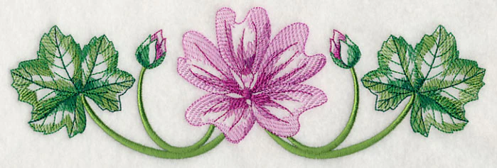 Marvelous Malva Border 2 - Image 4