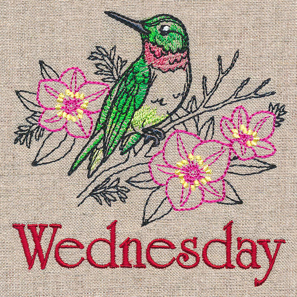 Merry Wednesday - Hummingbird with Lenten Roses - Image 2