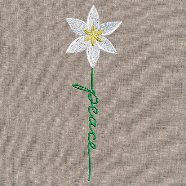 Peace Bloom Star of Bethlehem - Image 3