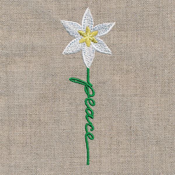 Peace Bloom Star of Bethlehem - Image 5