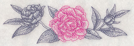 Peony Border (Toile) - Image 4