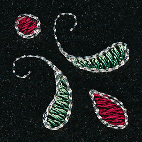 Peppermint Swirls Frame - Image 5