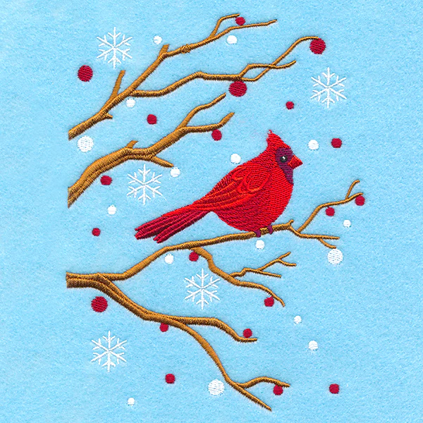 Perched on the Edge Cardinal - Image 5