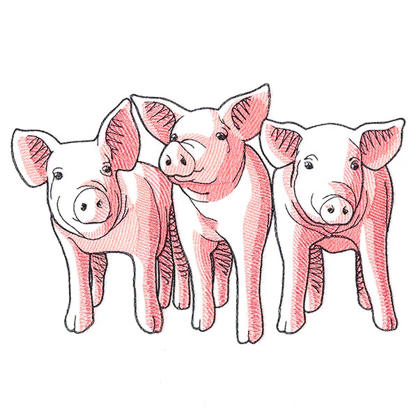 Pig Trio - Front - Image 2