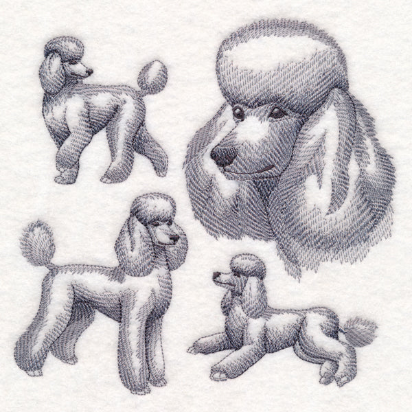 Poodle Sketch - Image 2
