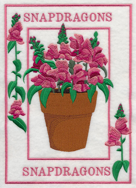 Potted Snapdragons Medley