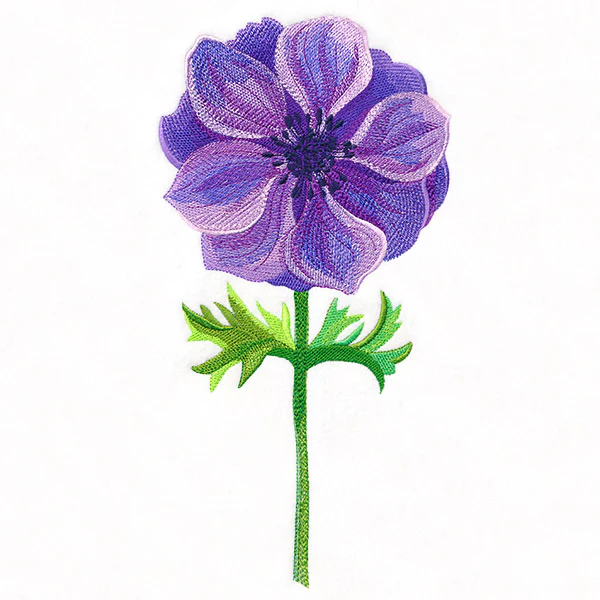 Precious Anemone in Watercolor