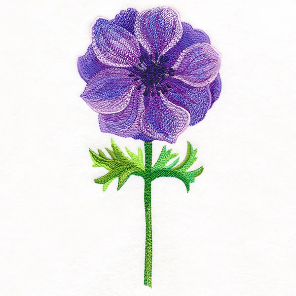 Precious Anemone in Watercolor - Image 5