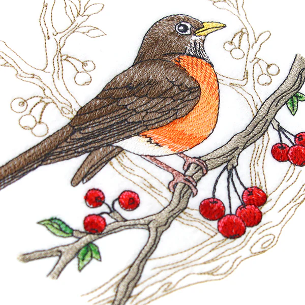Radiant Robin Medley - Image 8