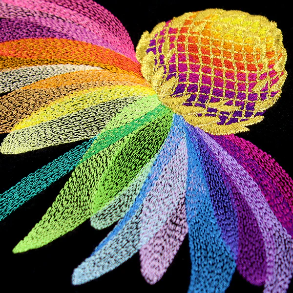 Rainbow Coneflower - Image 10