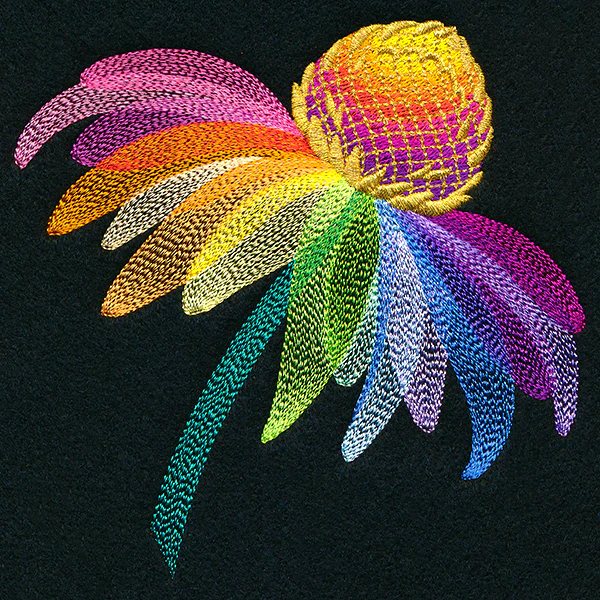 Rainbow Coneflower - Image 5