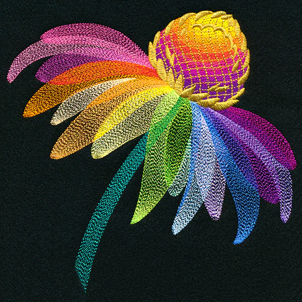 Rainbow Coneflower - Image 9