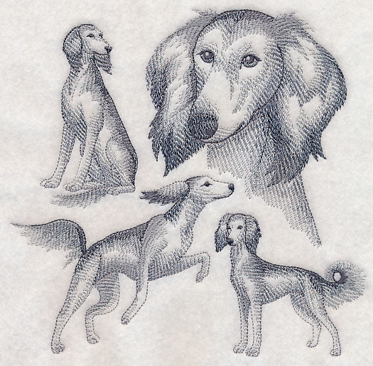 Saluki Sketch - Image 2